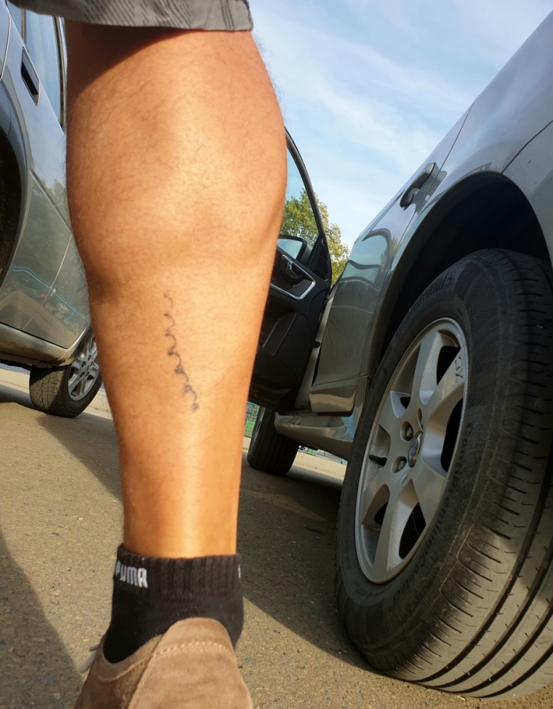 20201003_181716.thumb.jpg.66f61812c7d5edbcd2b2c9a96c2822f1.jpg