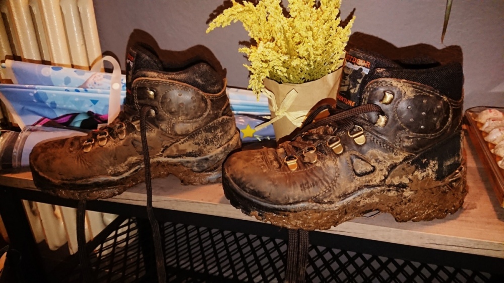 _20201223_163618.thumb.jpg.f114a756e5dfbdb9d0d122ccbedacc40.jpg